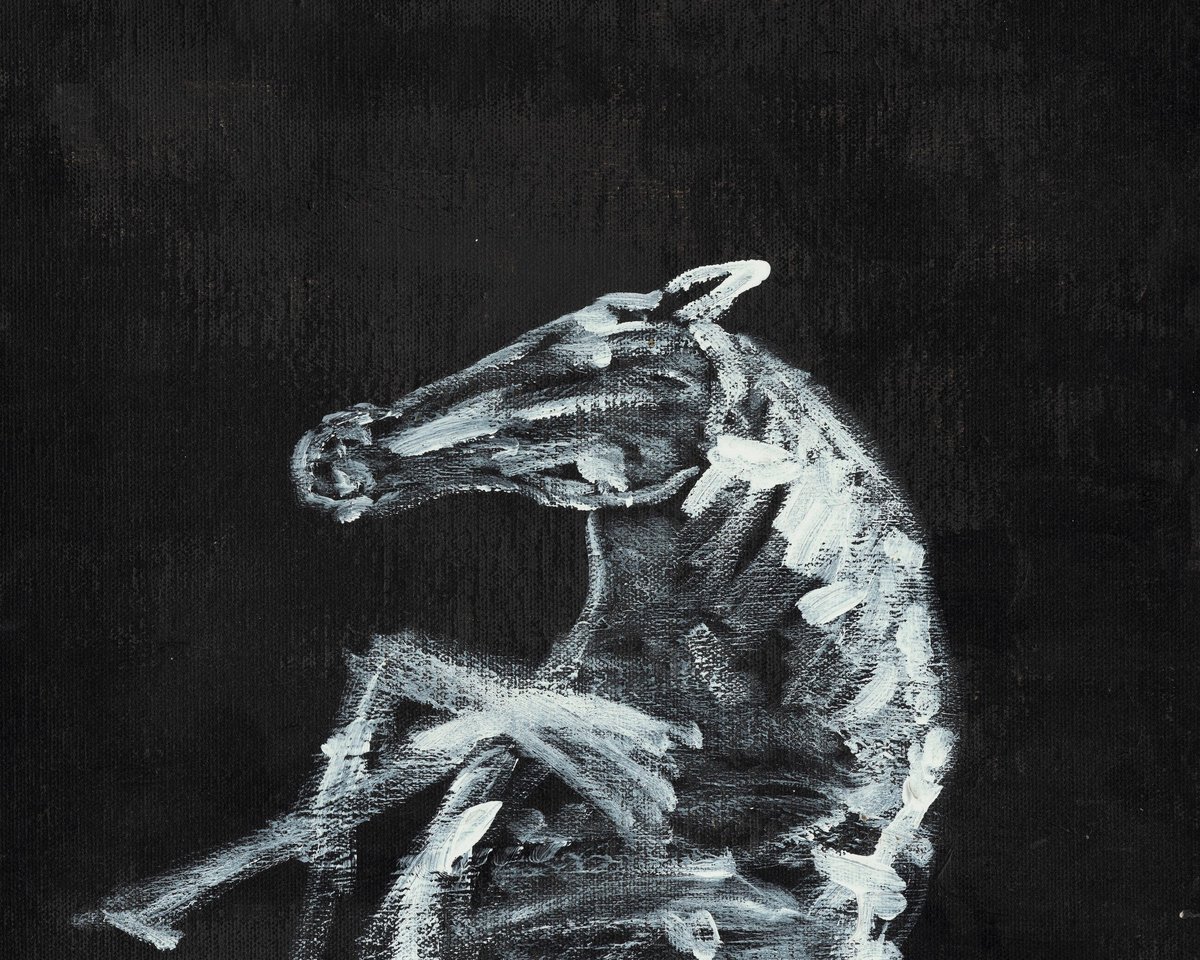 Horse In White