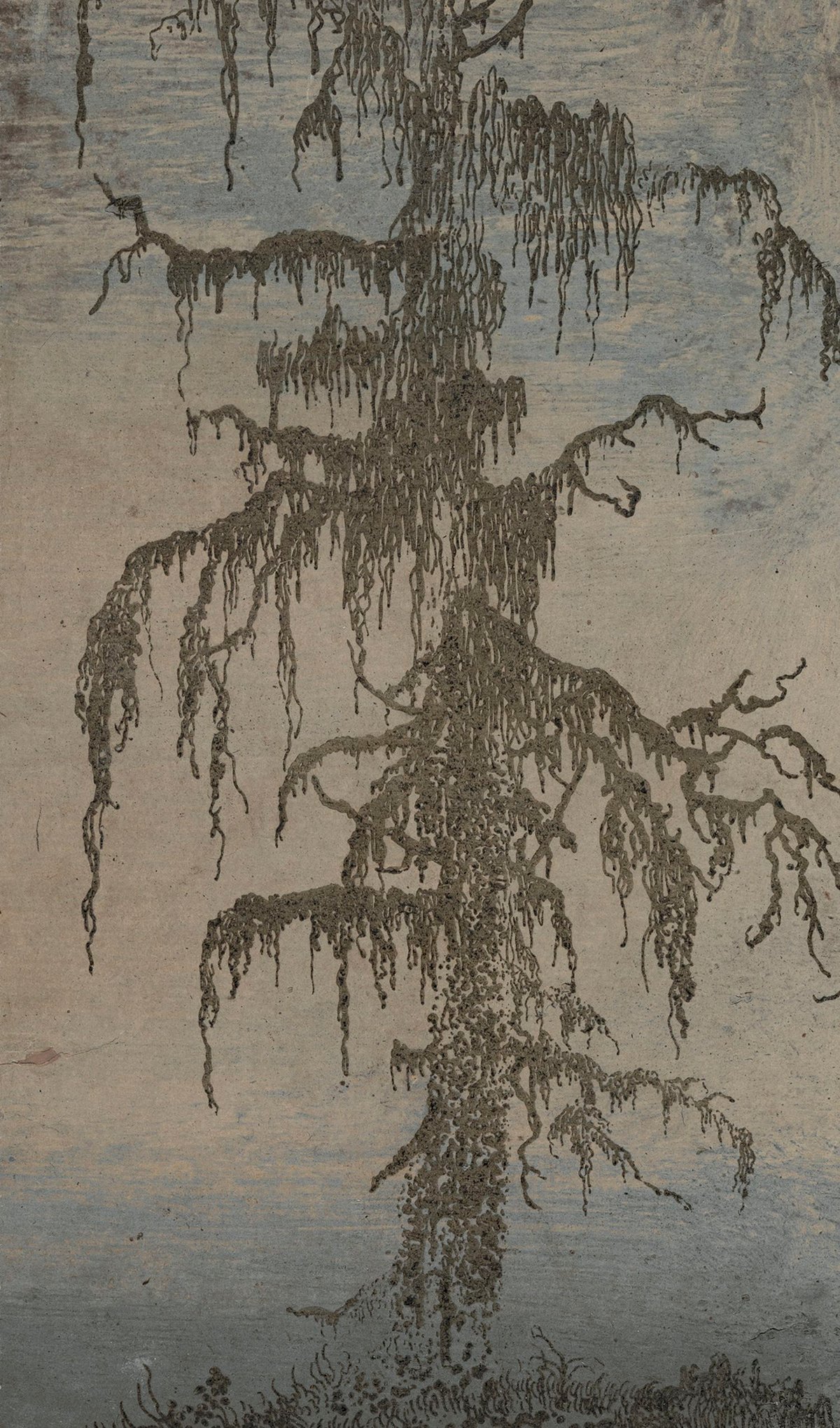 The Mossy Tree