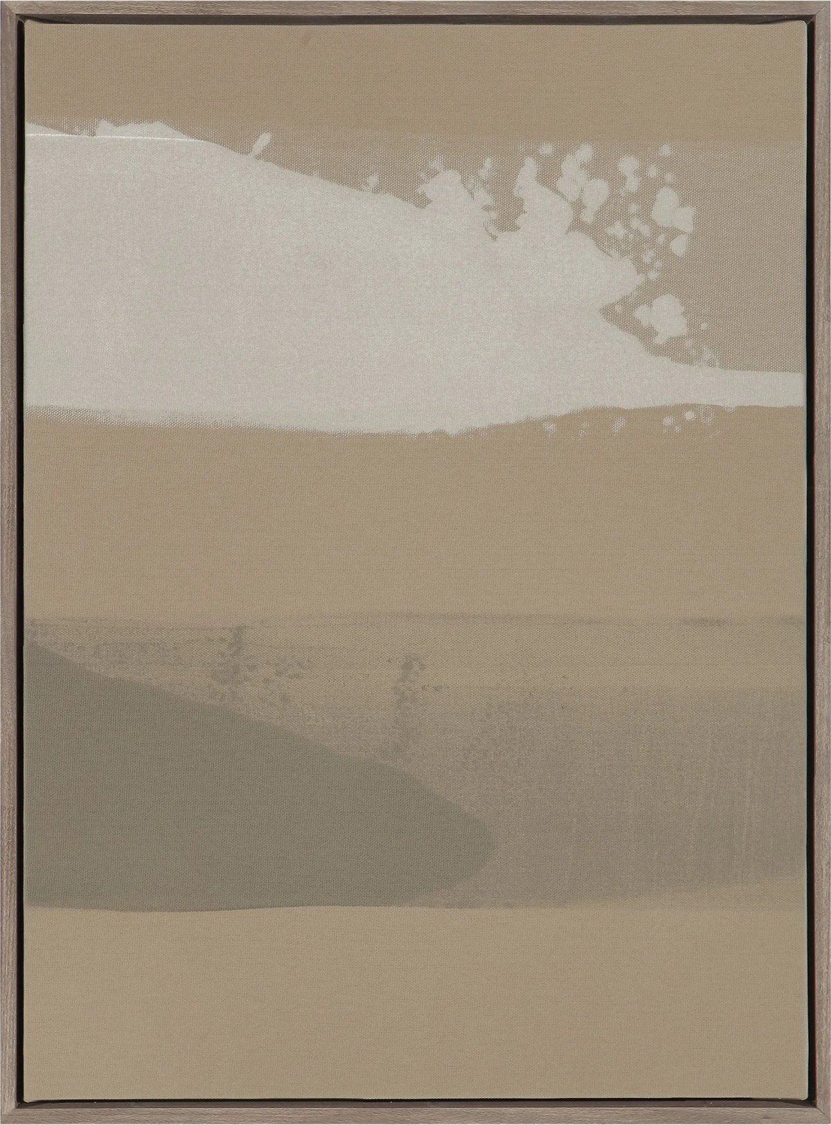 Organic Silkscreen No. 4