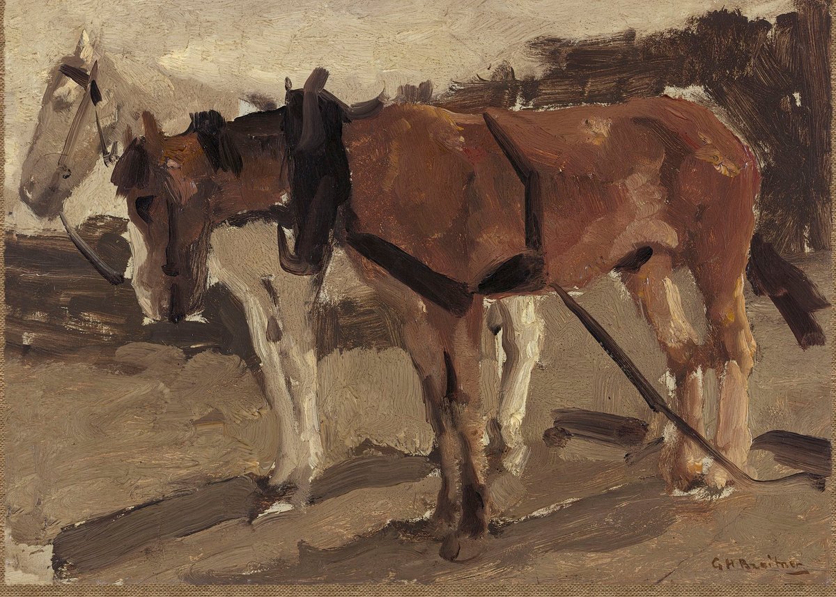 A Brown And A White Horse