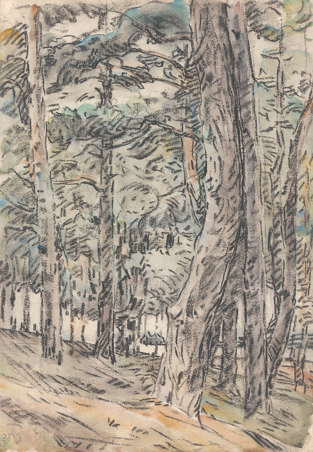 Forest Landscape