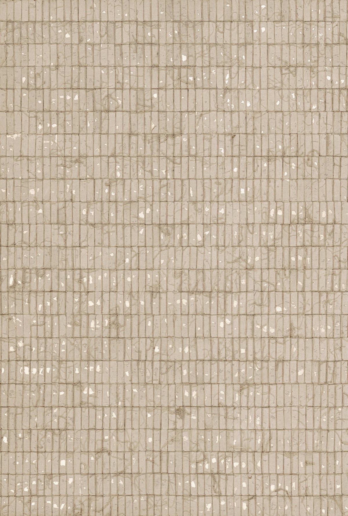 Taos II