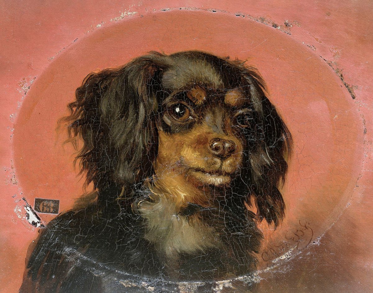 Little Dog