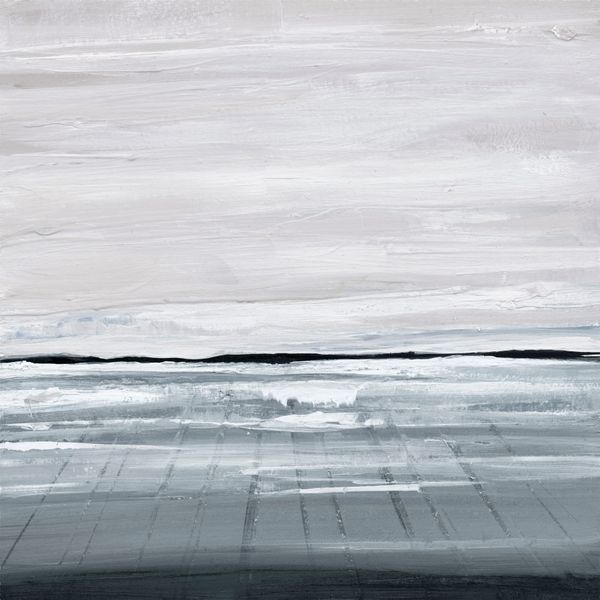 Snowy Field I