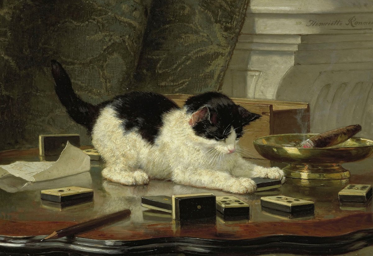Cat At Play