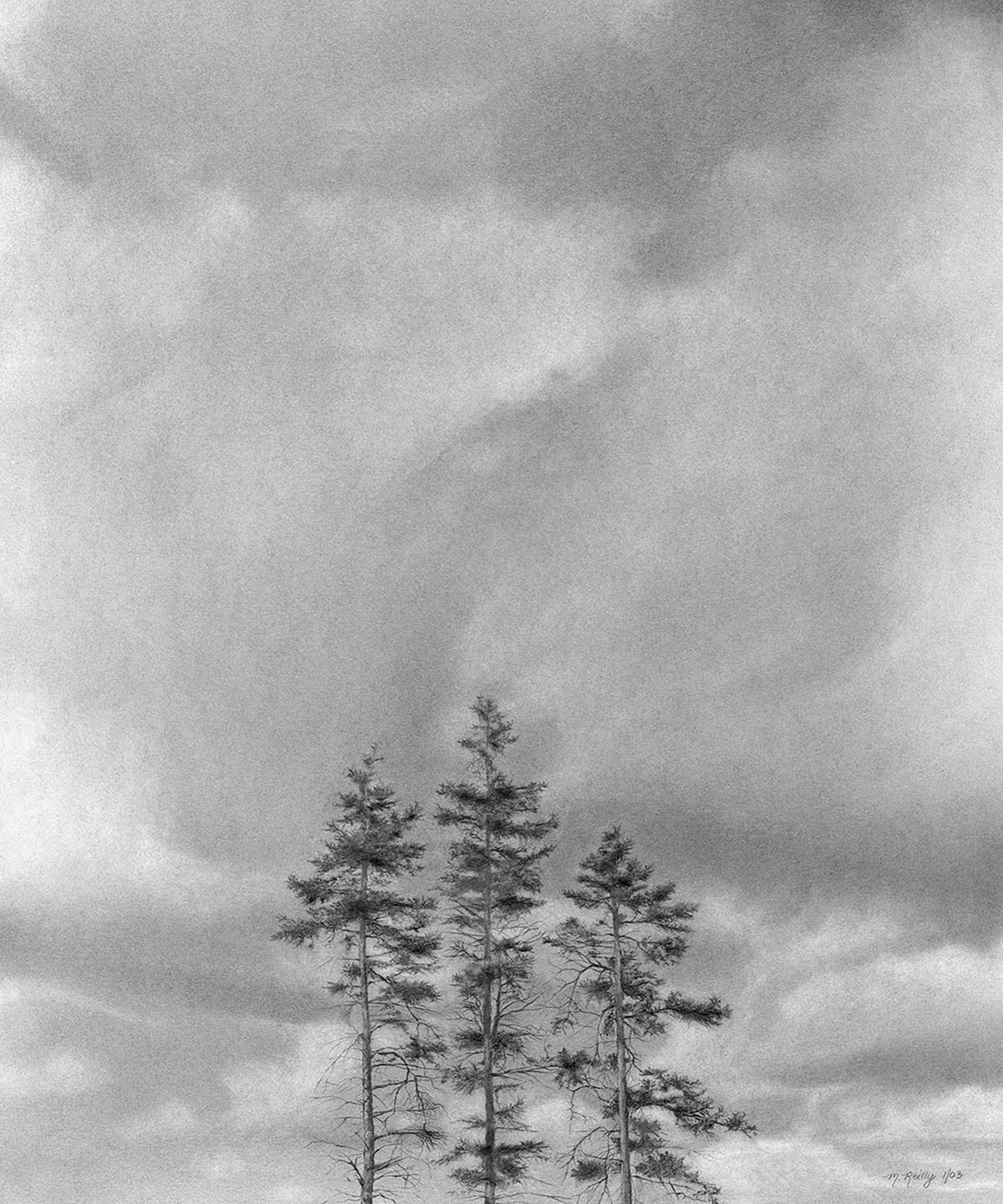 Three Trees