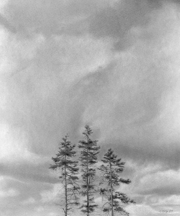 Three Trees