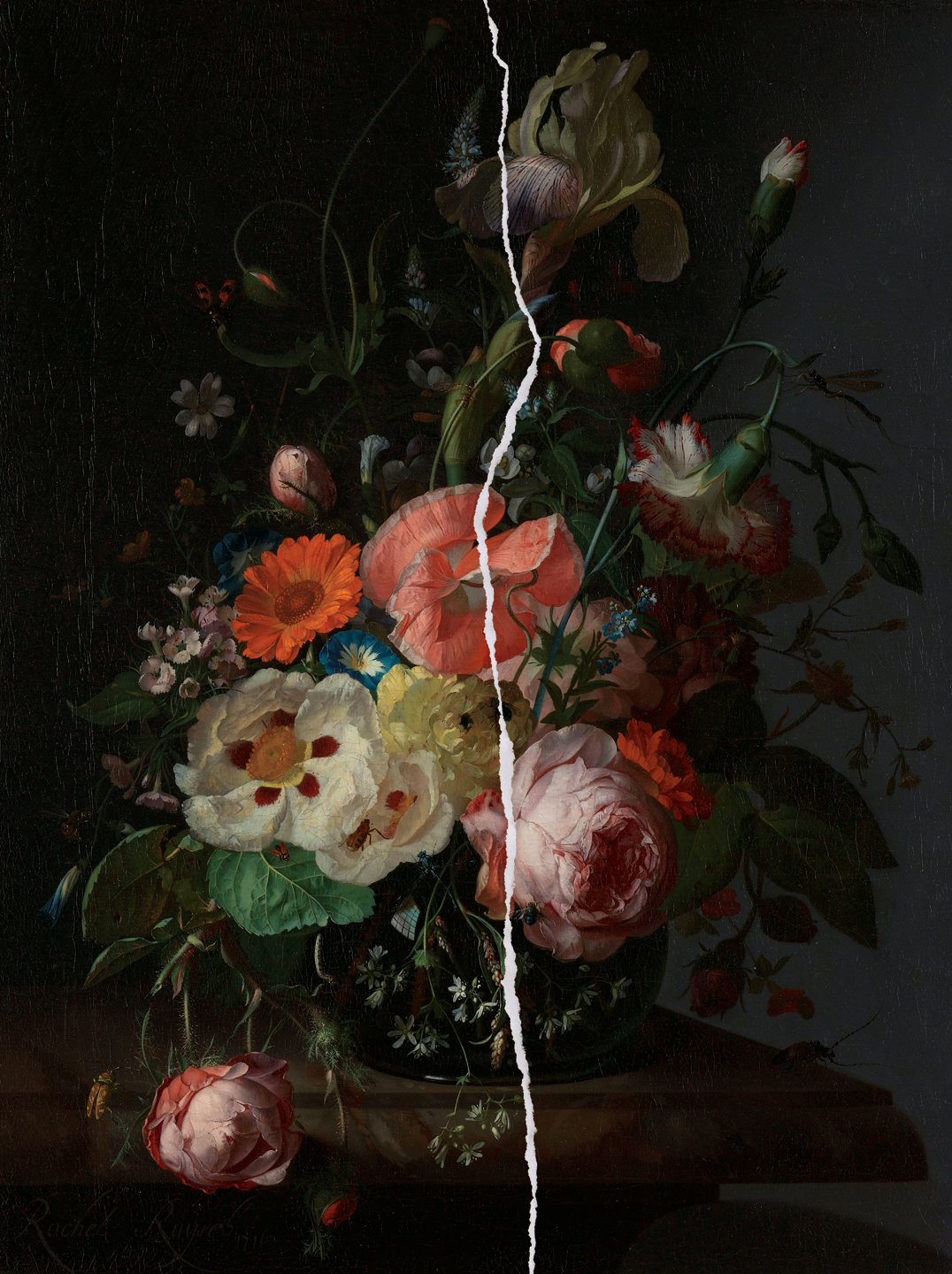 Ripped Flowers I