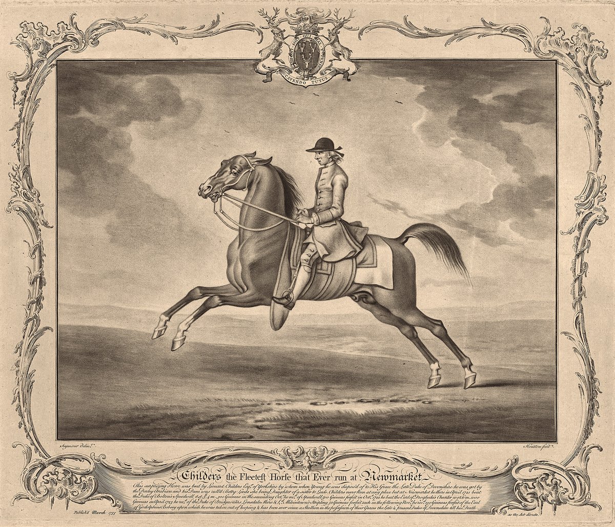 Race Horse With A Jockey I