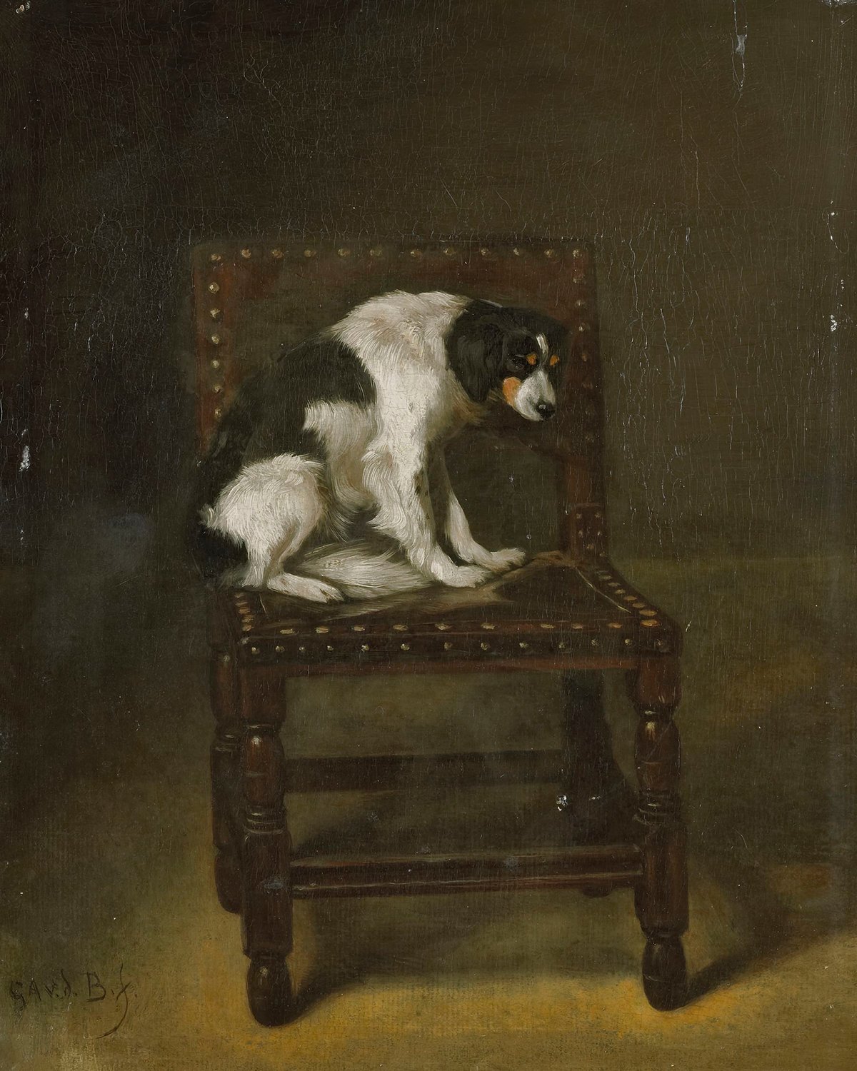 Dog On Chair