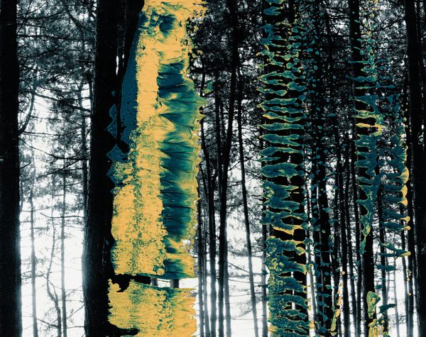 Woods III