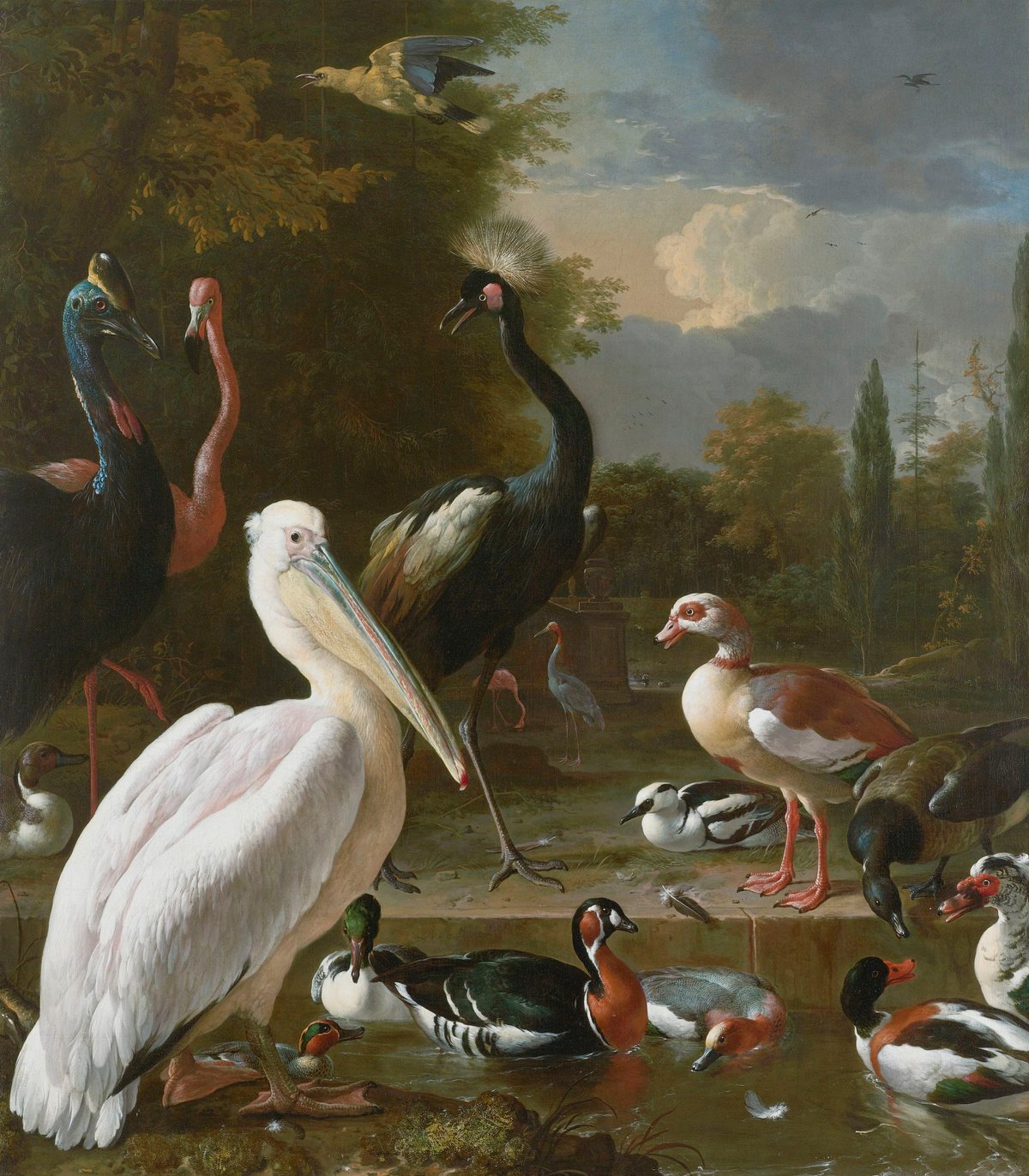 The Floating Feather