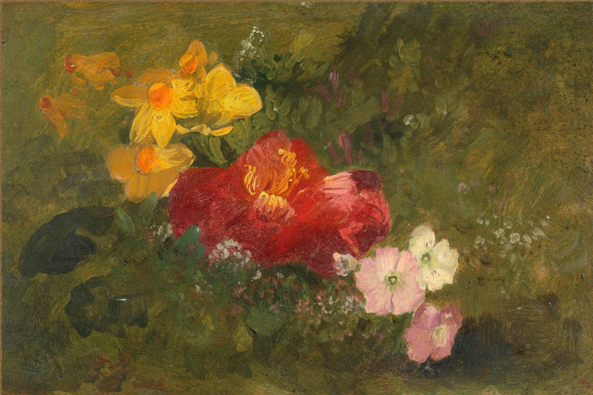 Wild Flowers, Jamaica