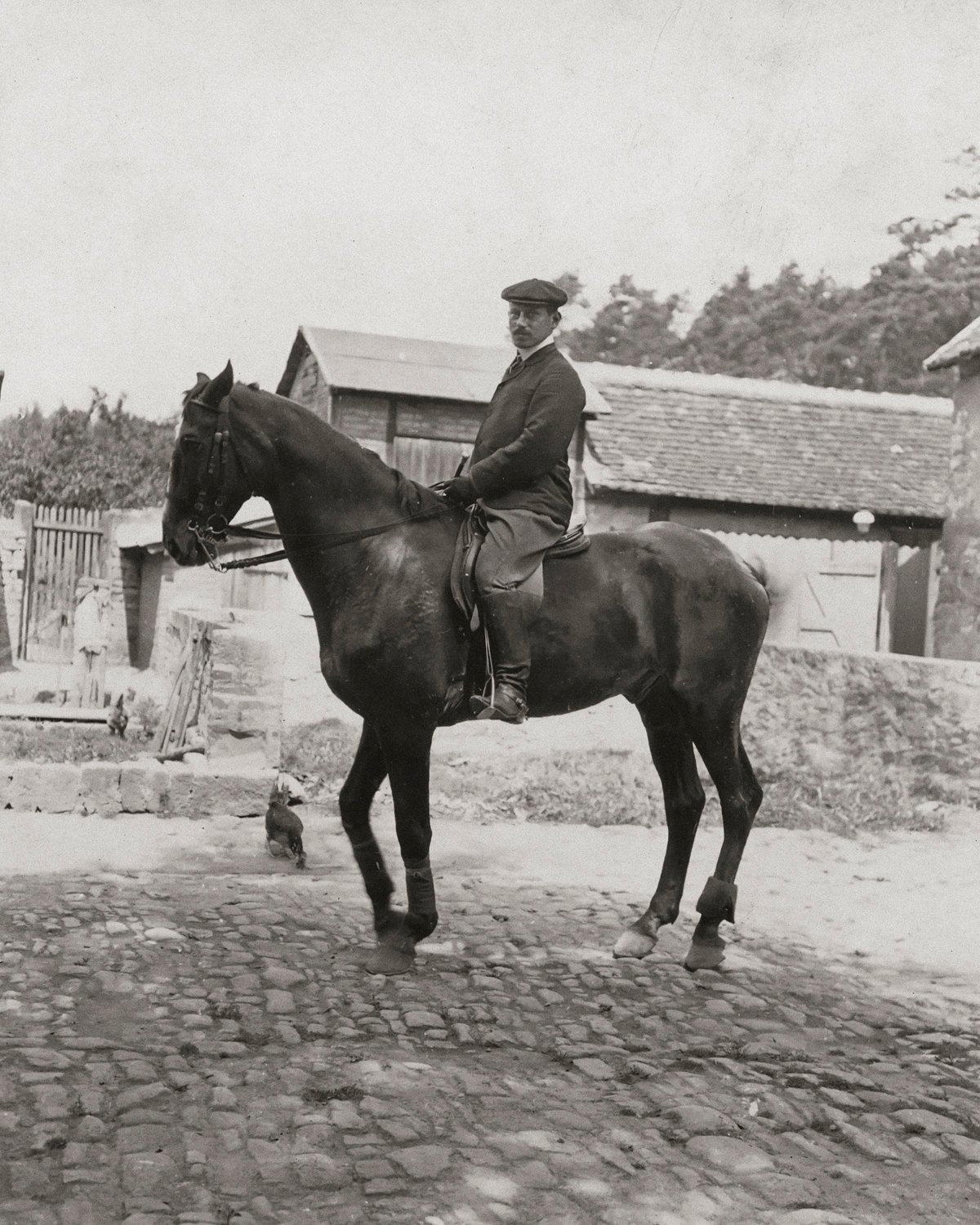 Man On Horseback