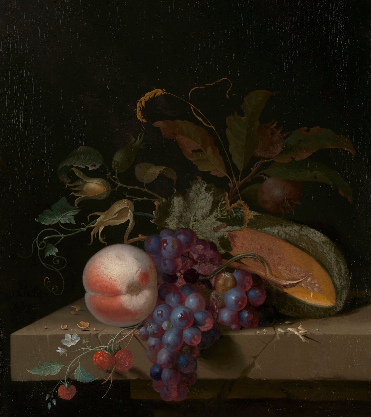 Still Life With Grapes