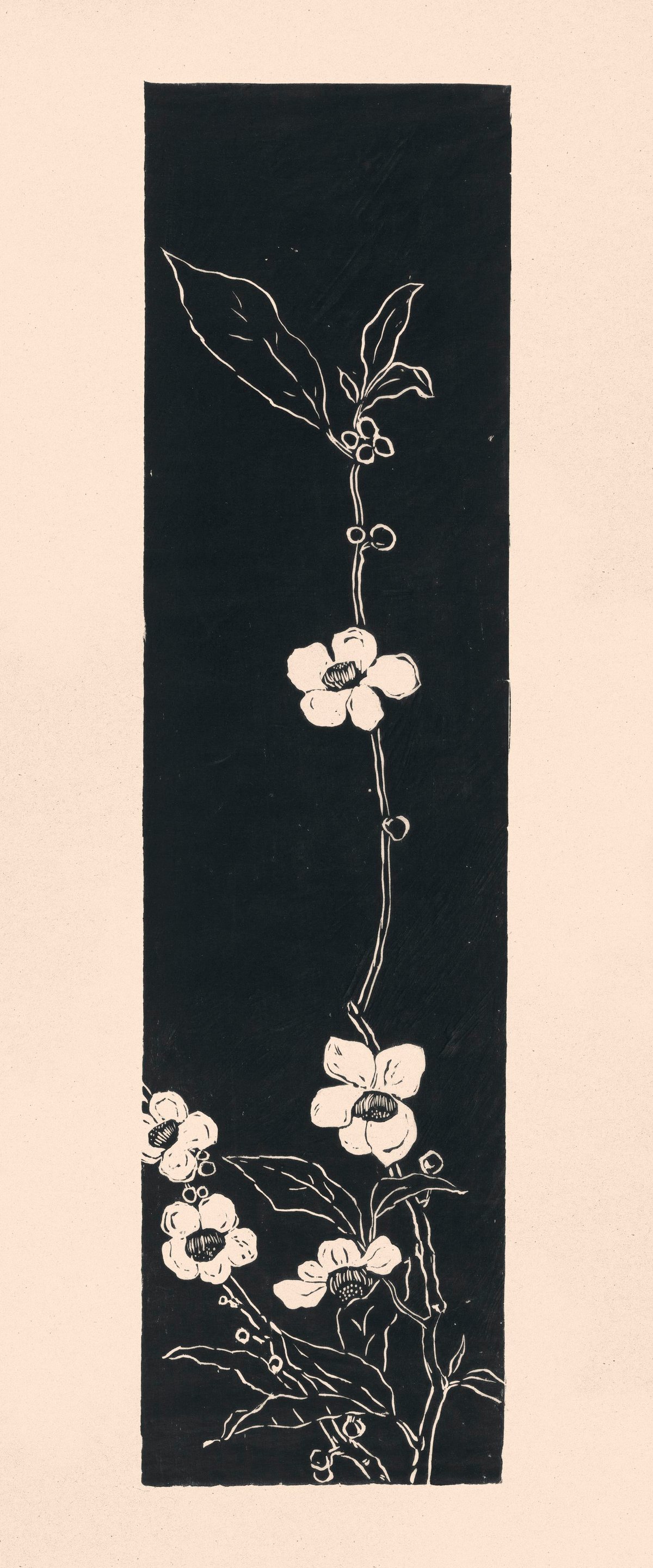 Tea Blossom