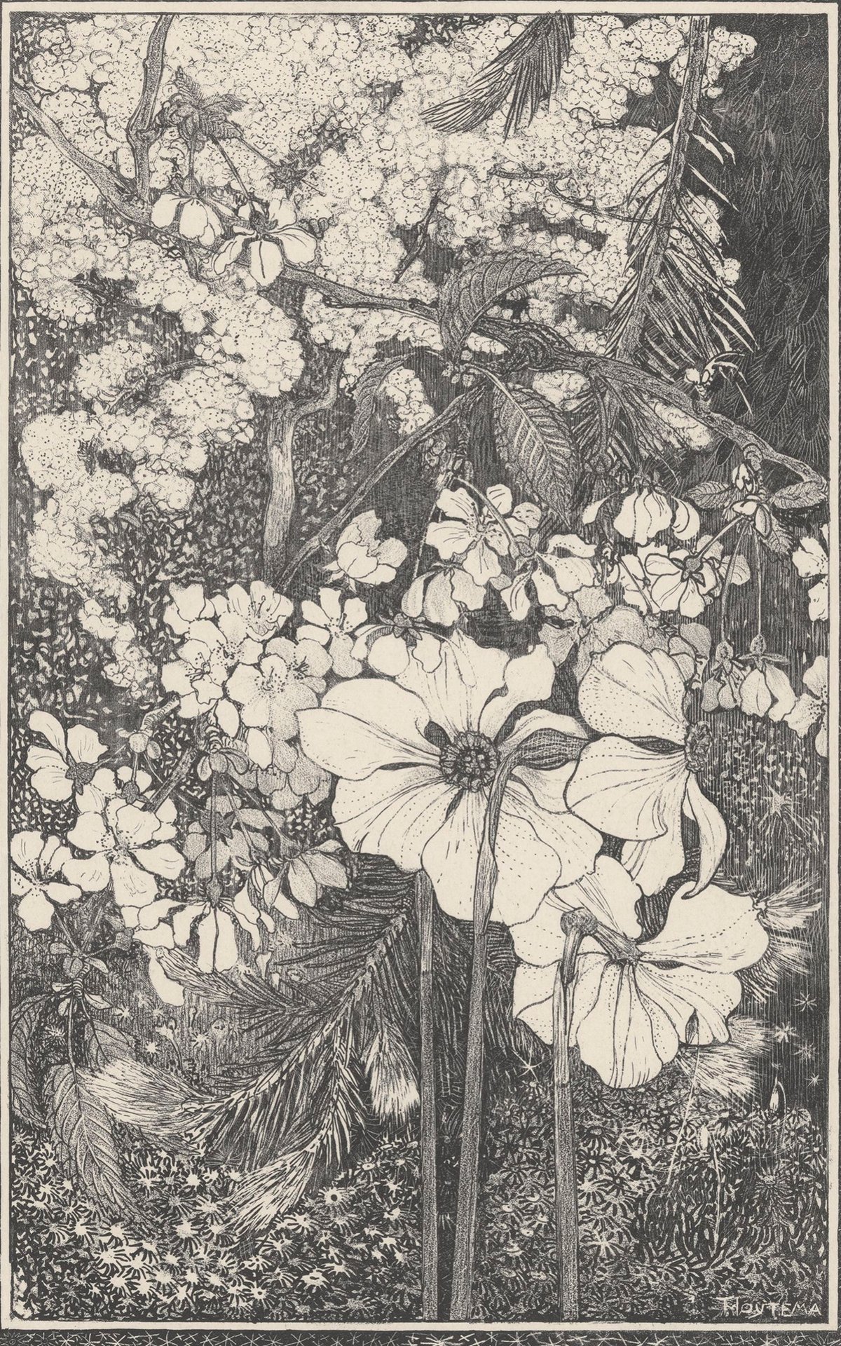 Spring