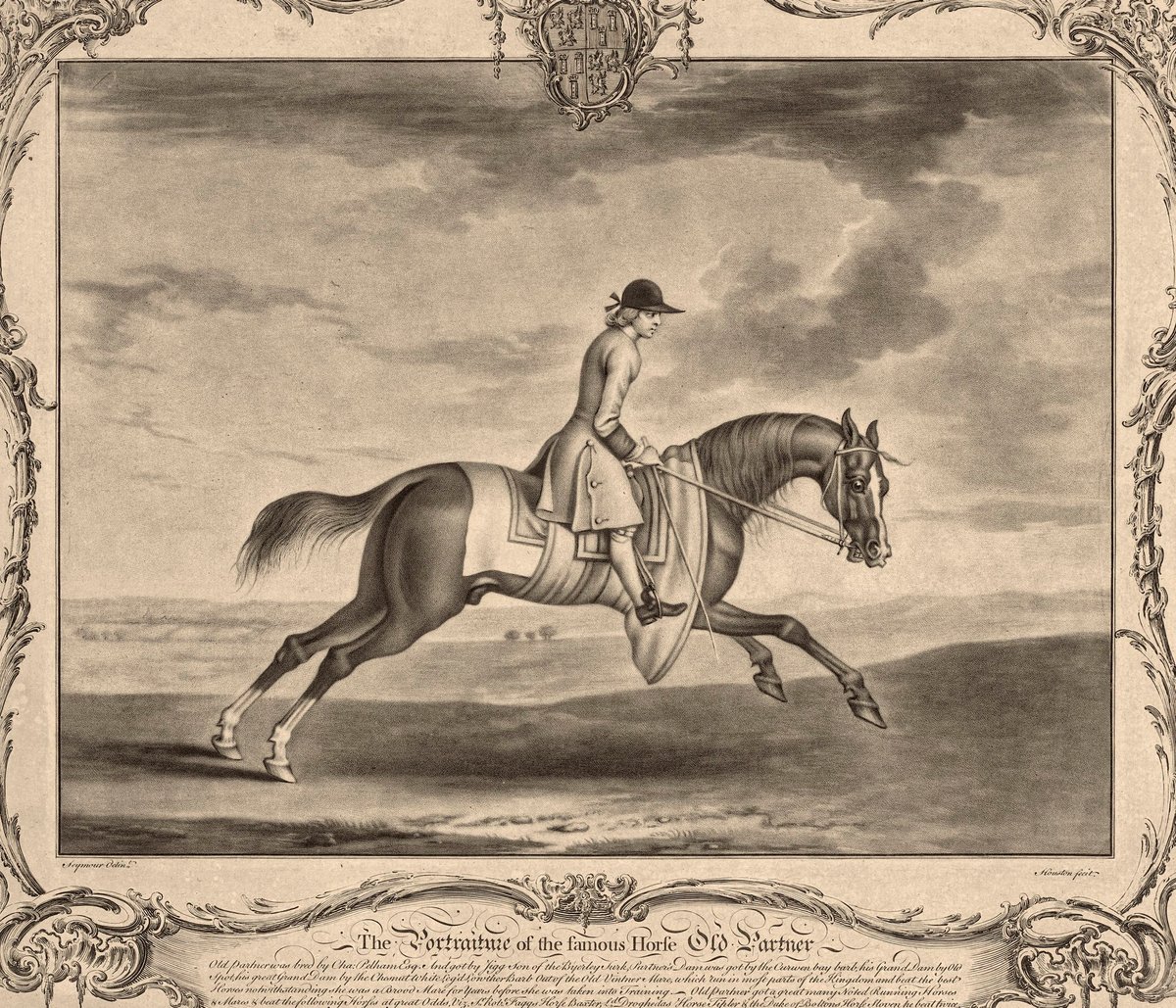 Race Horse With A Jockey II