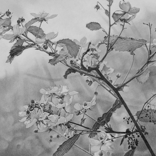 Flowering Hillside I