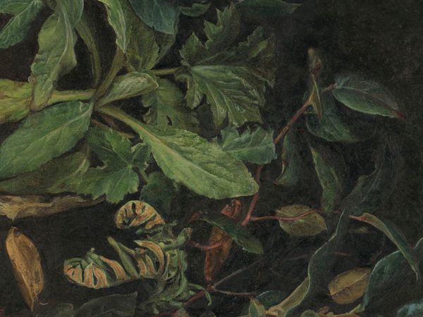 Forest Still Life