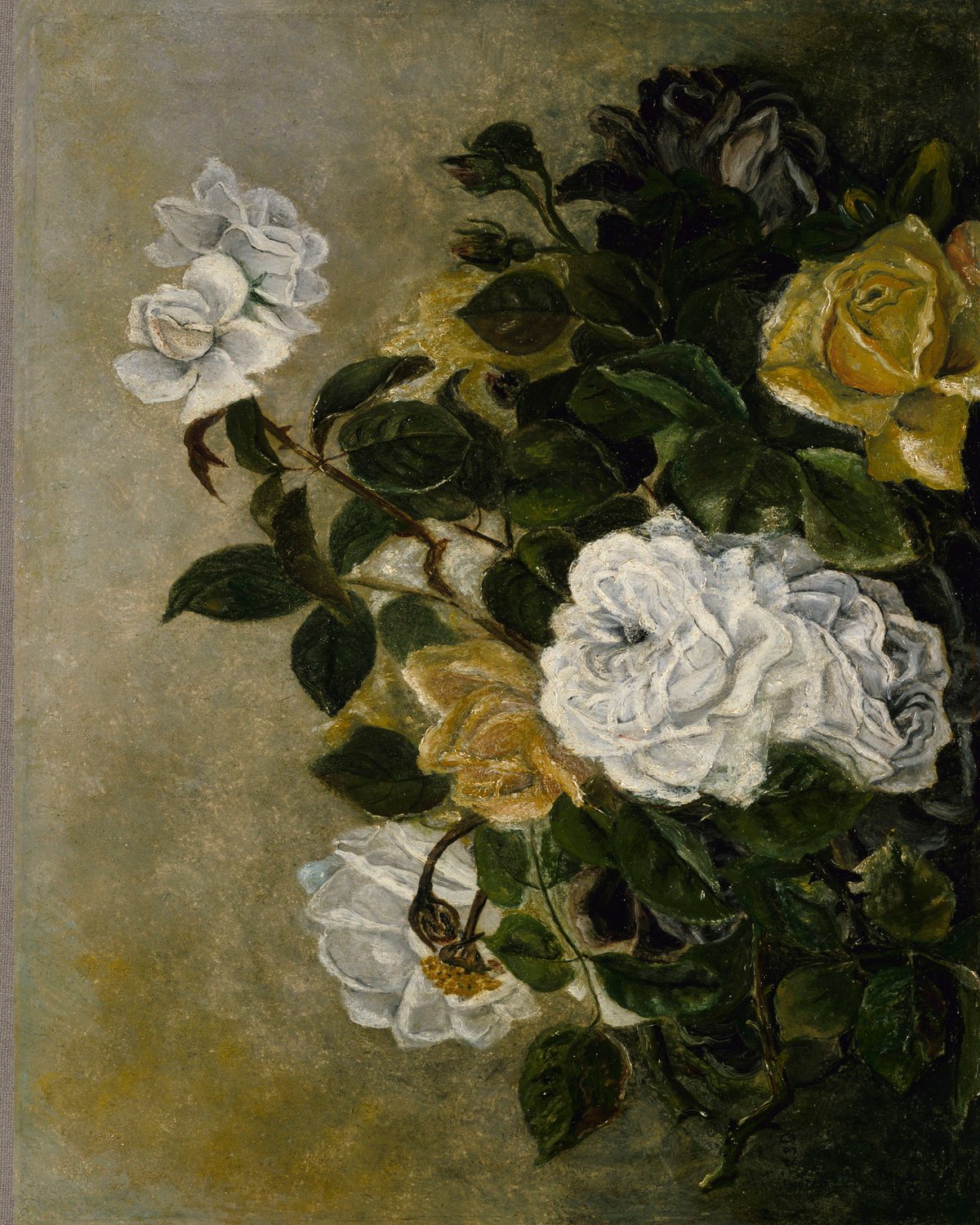 Roses Still Life