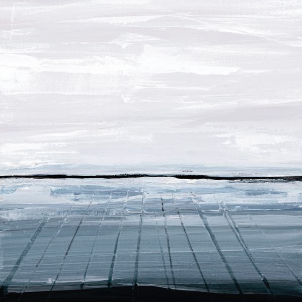 Snowy Field II