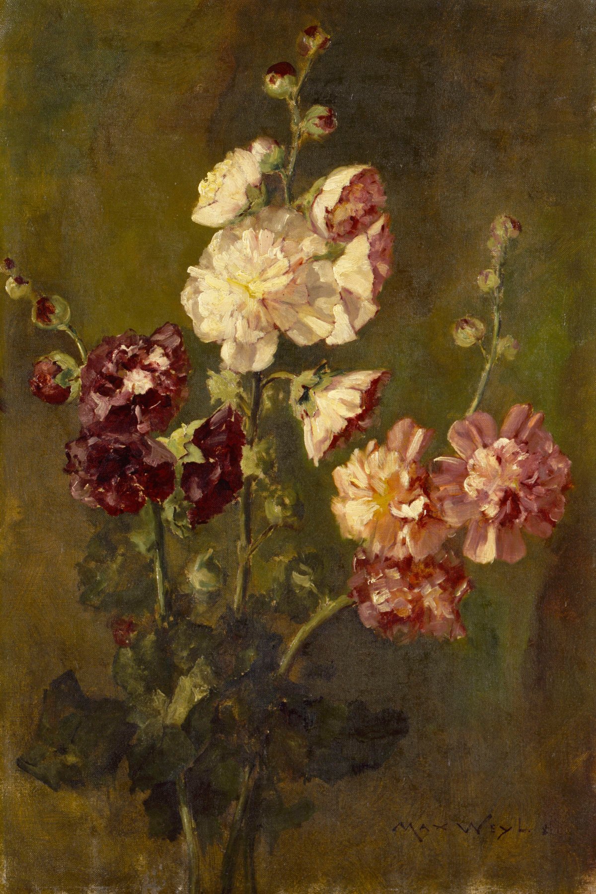 Hollyhocks