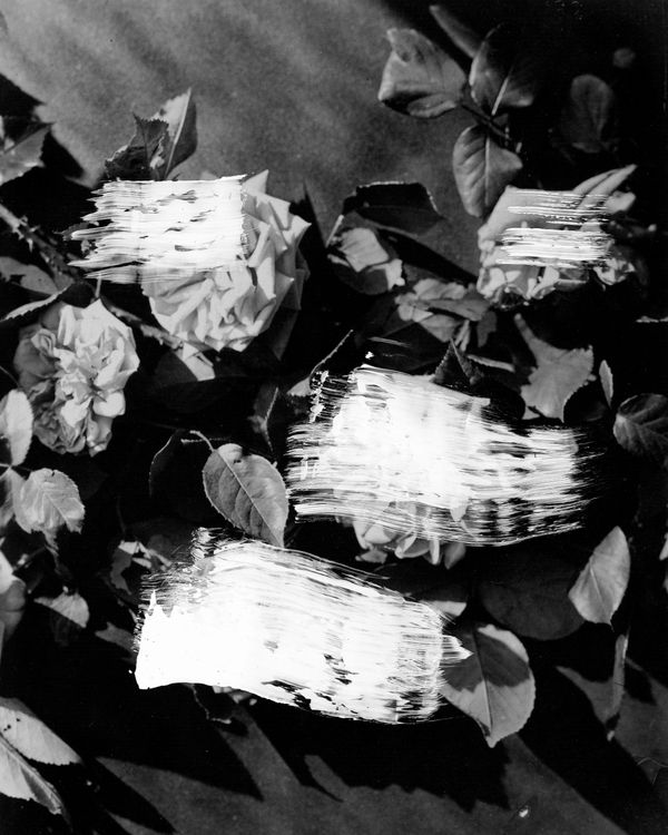Painted Flowers 3
