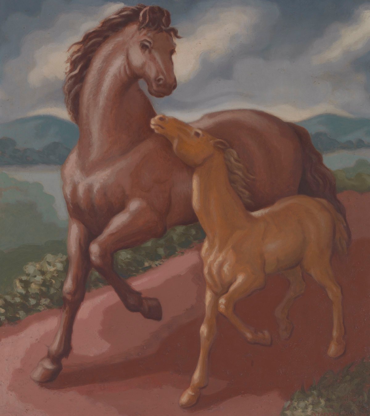 Filly And Colt