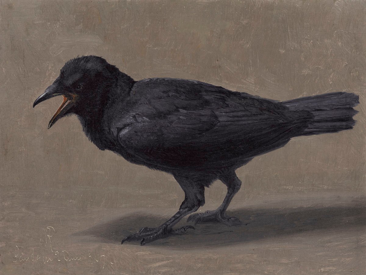 The Caw