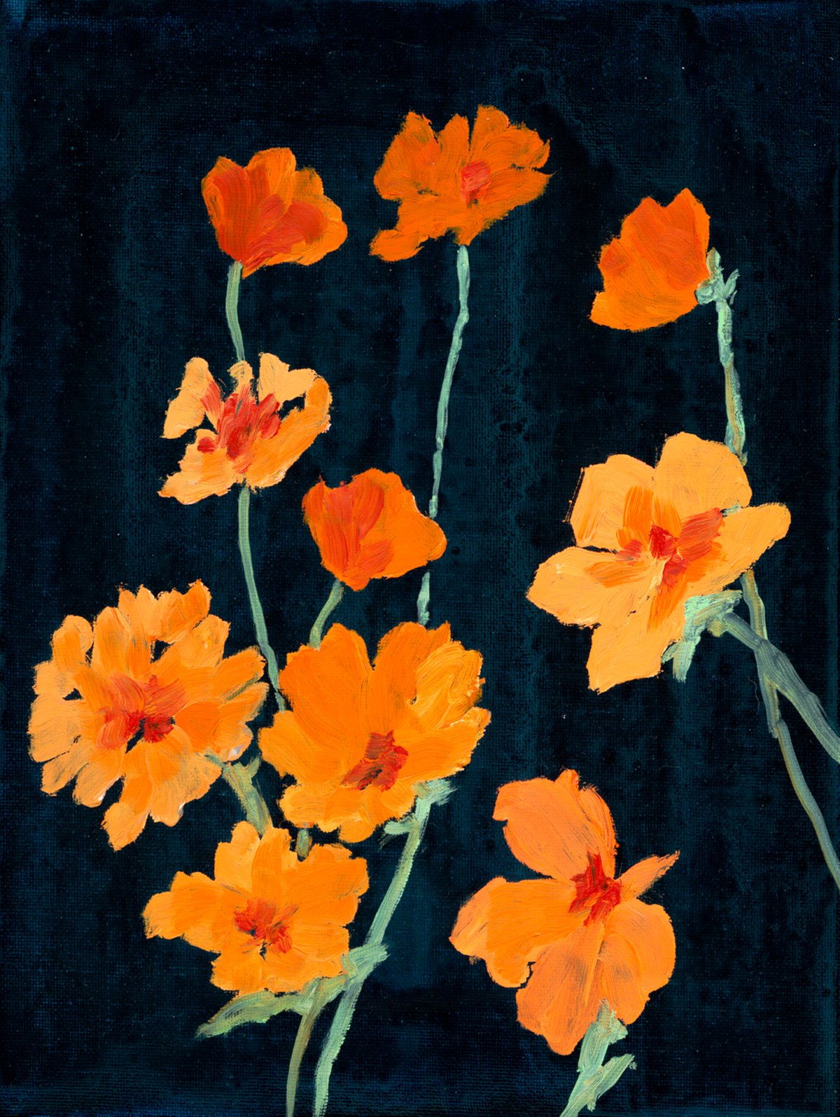 Midnight Marigolds