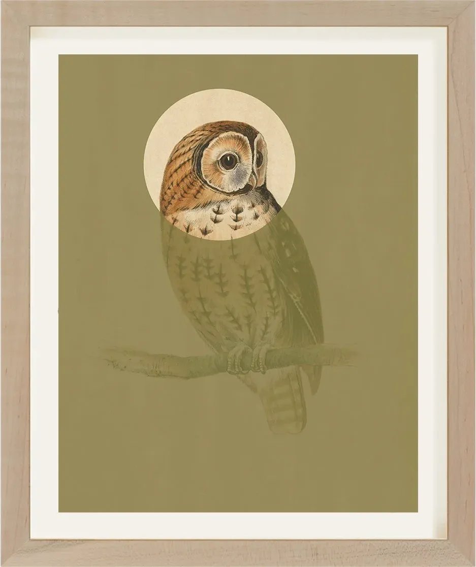 Antique Bird Engraving