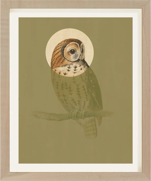 Antique Bird Engraving