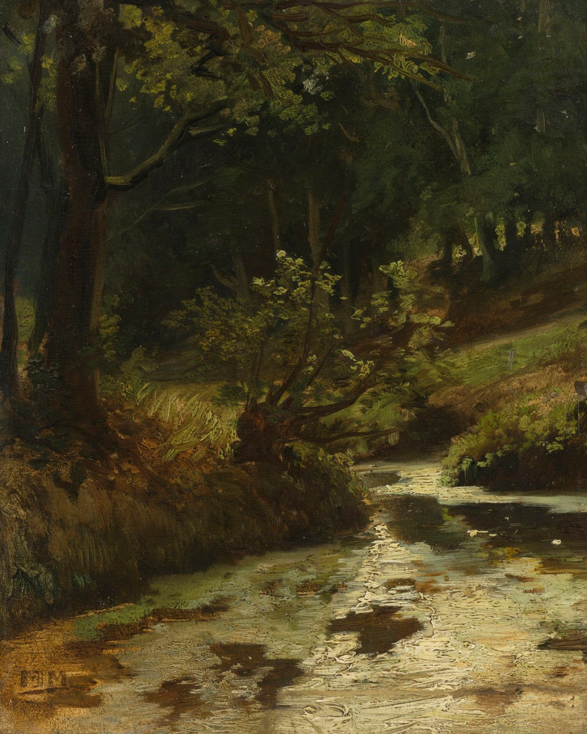 Brook In The Woods Near Oosterbeek