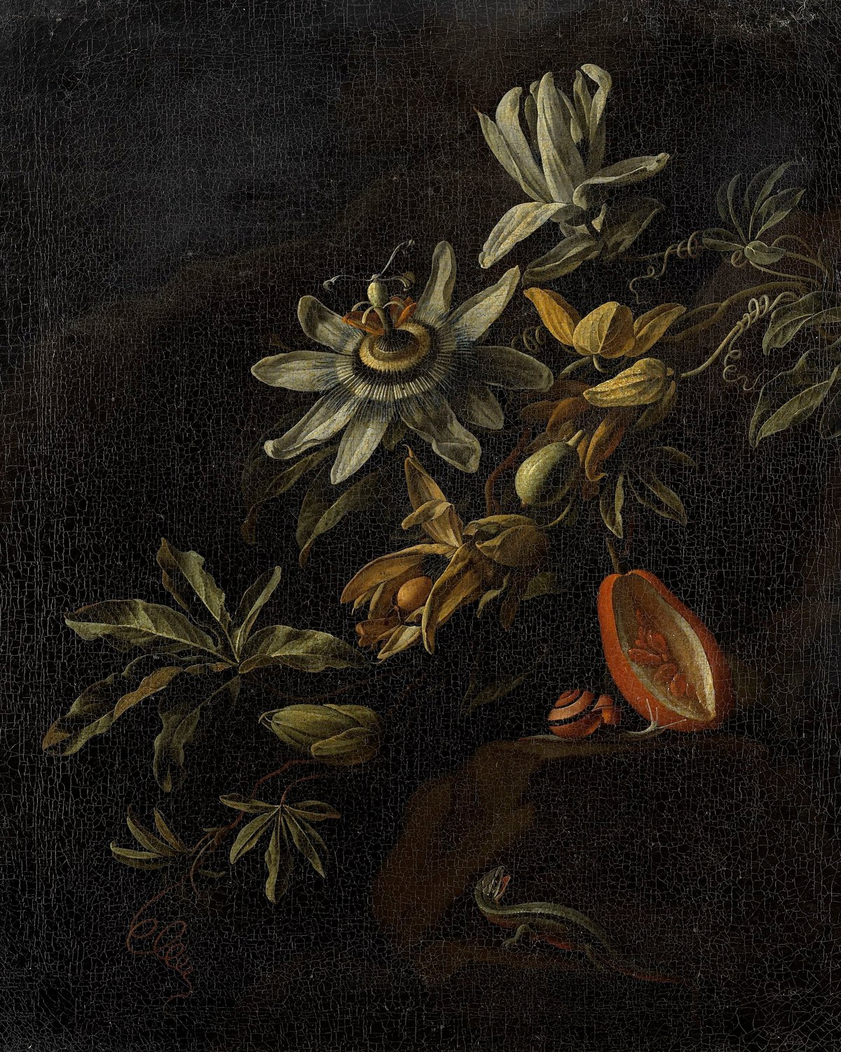 Still Life With Passion Flowers