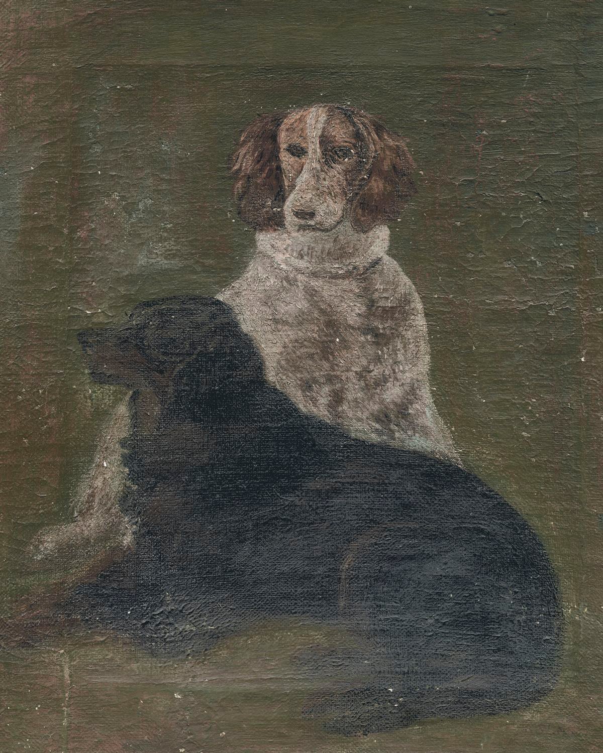 Two Dogs