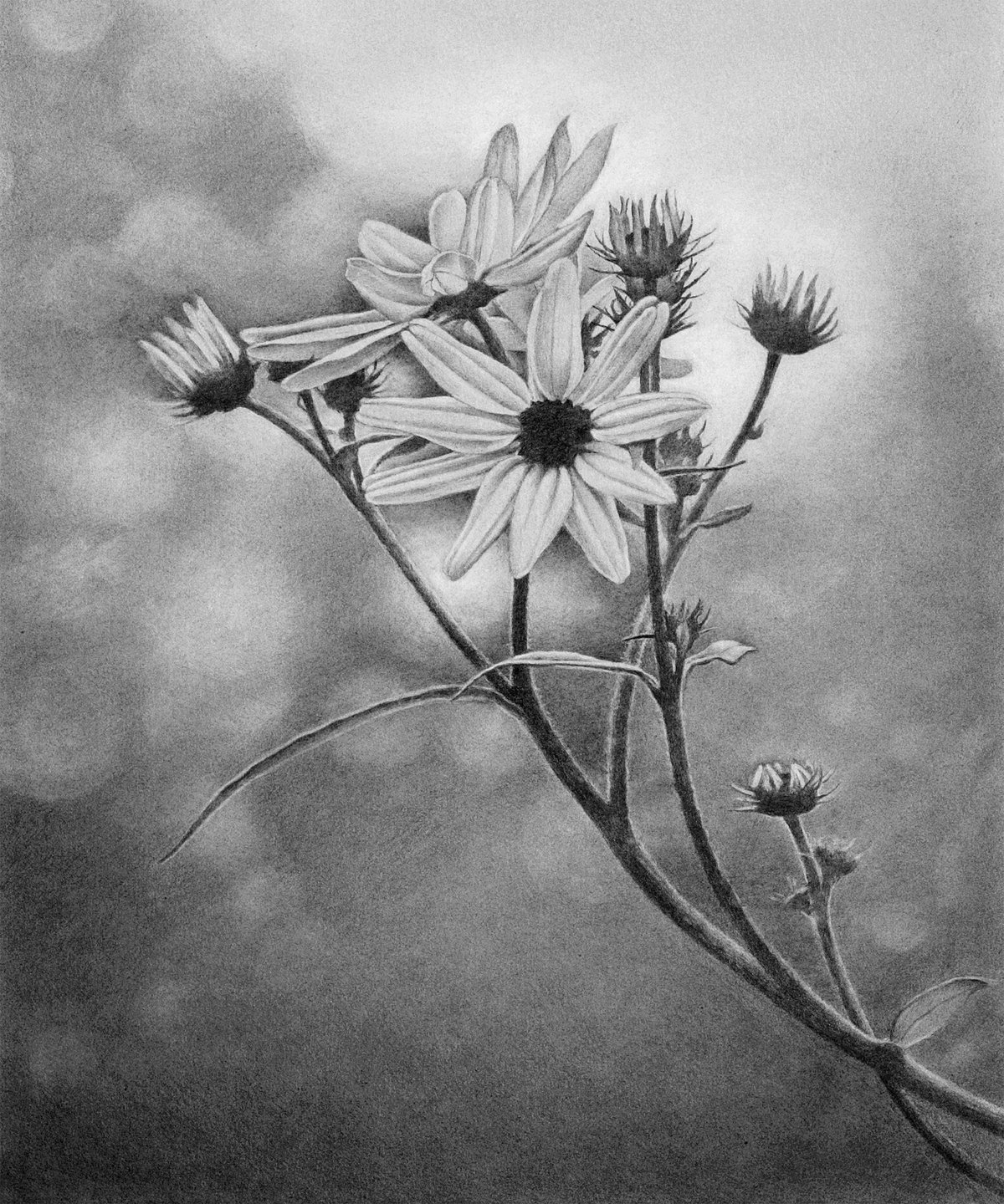 Untitled Flower