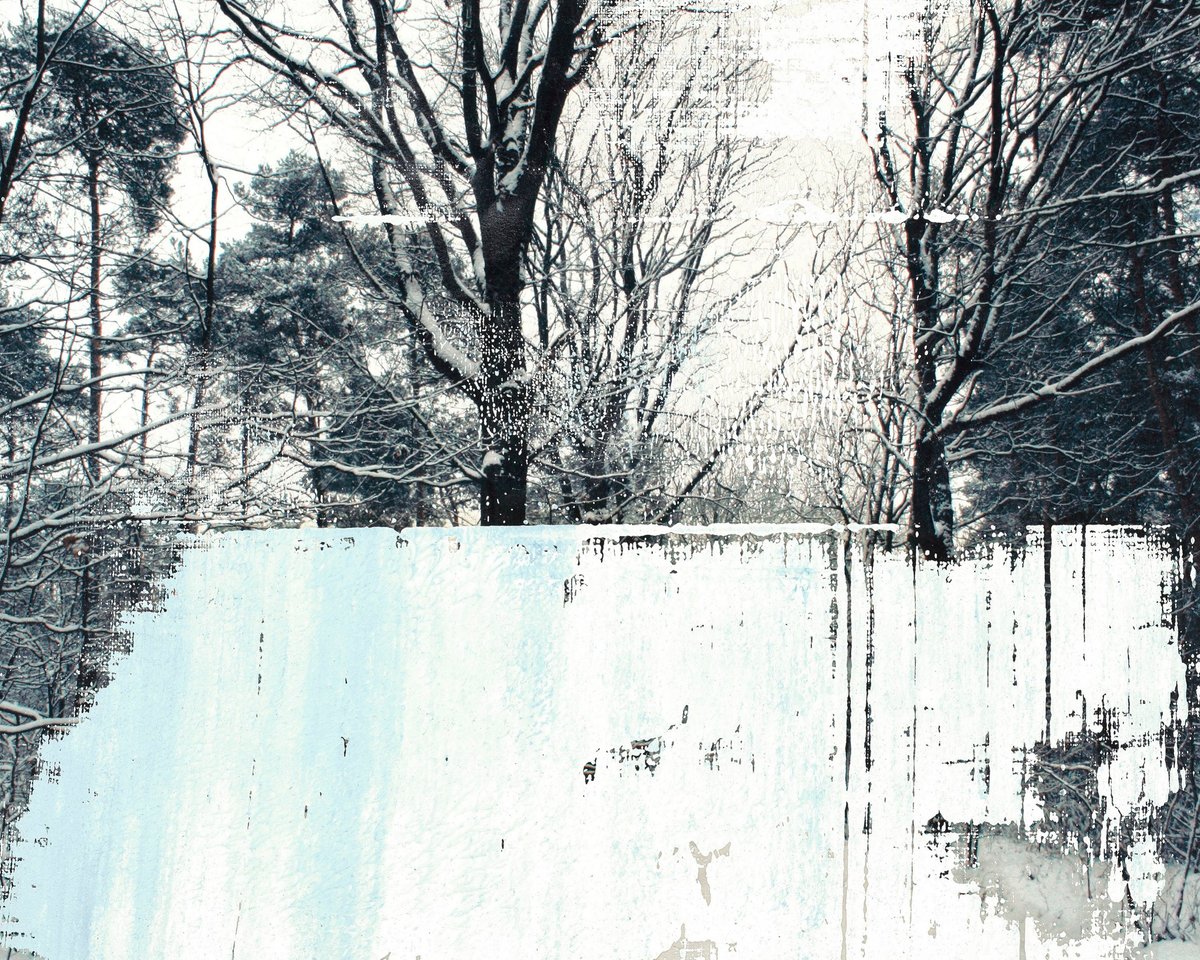 Snow On Trees III