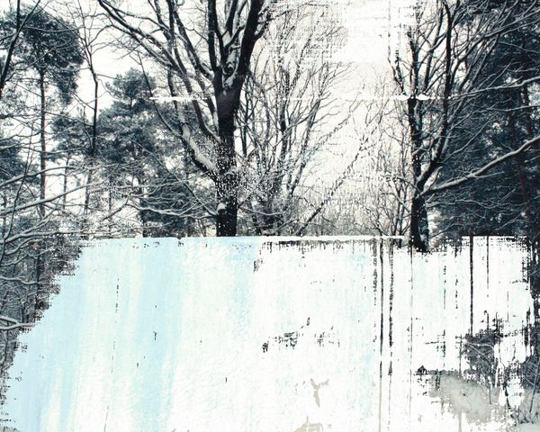 Snow On Trees III