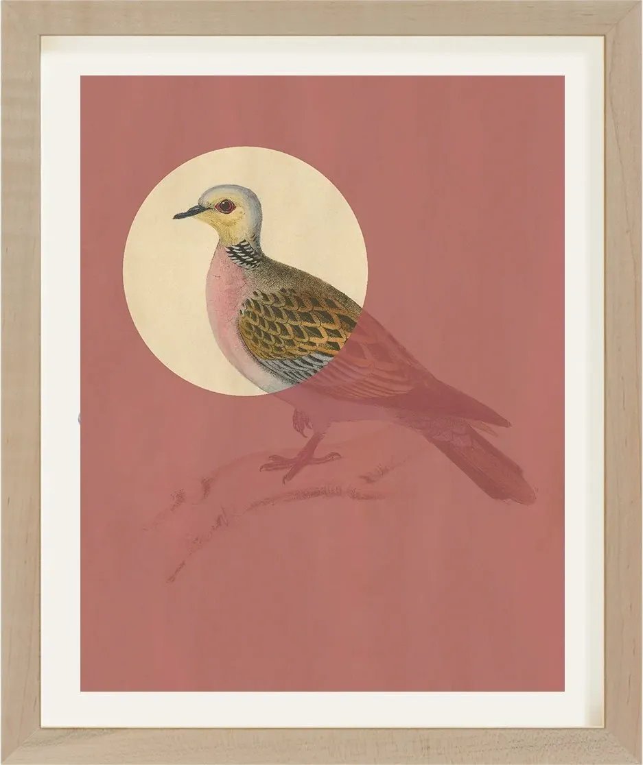 Antique Bird Engraving