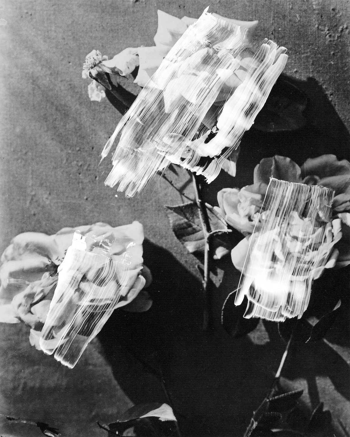 Painted Flowers 6