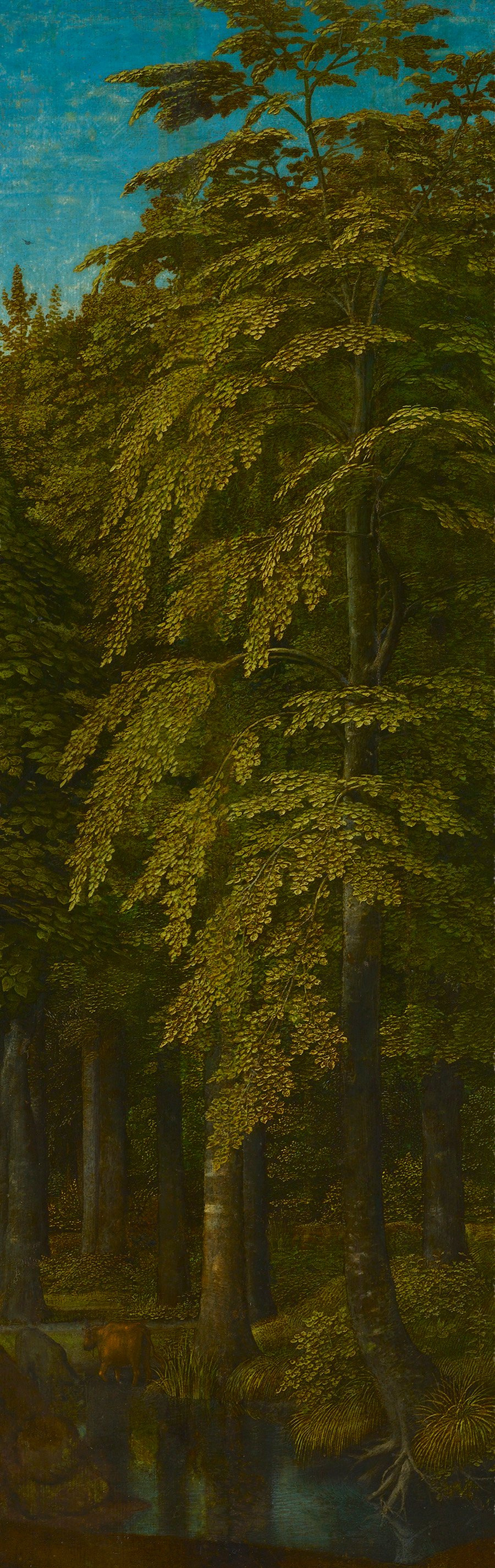 Forest Scene I