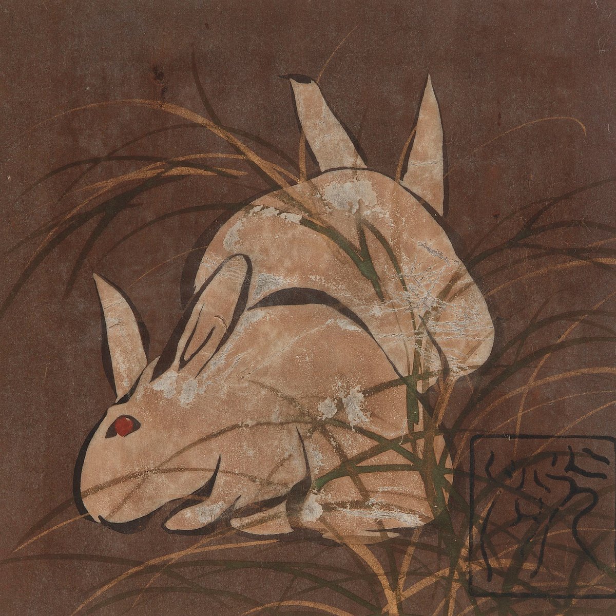 Rabbits And Grasses