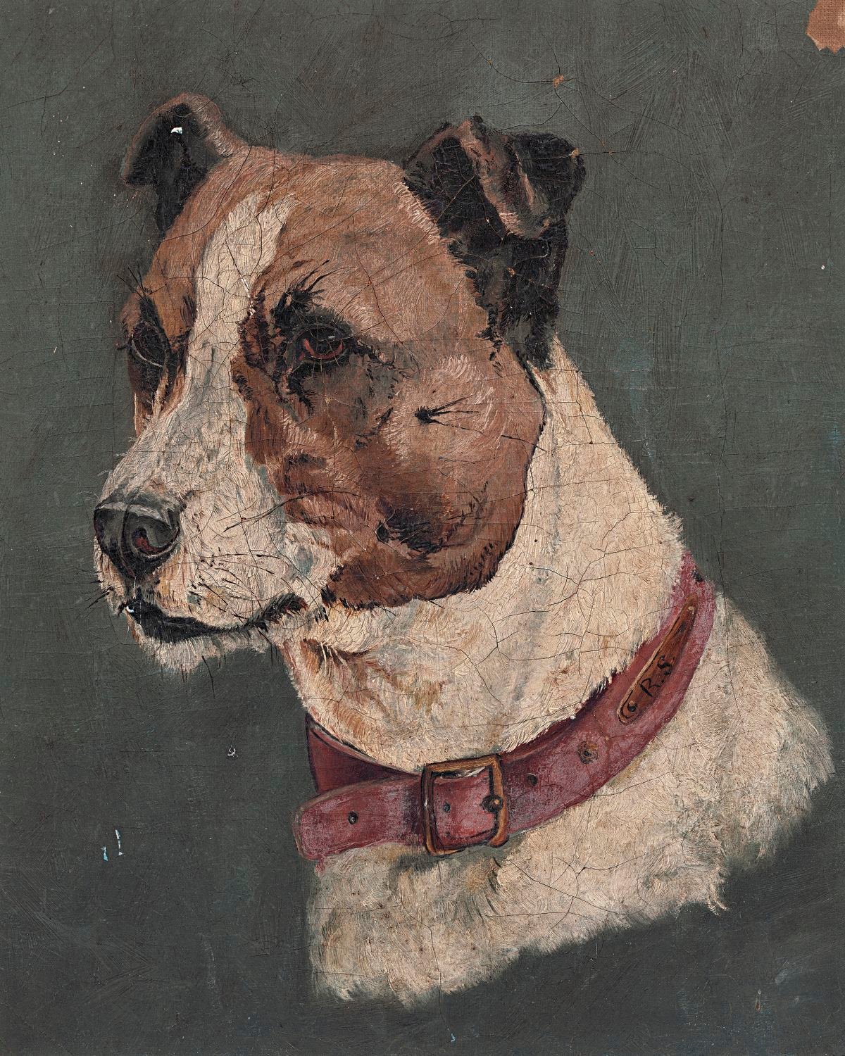 Buster