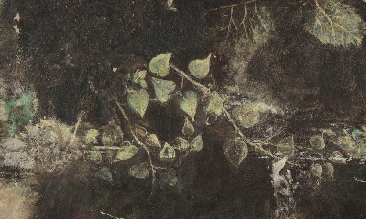 Ivy