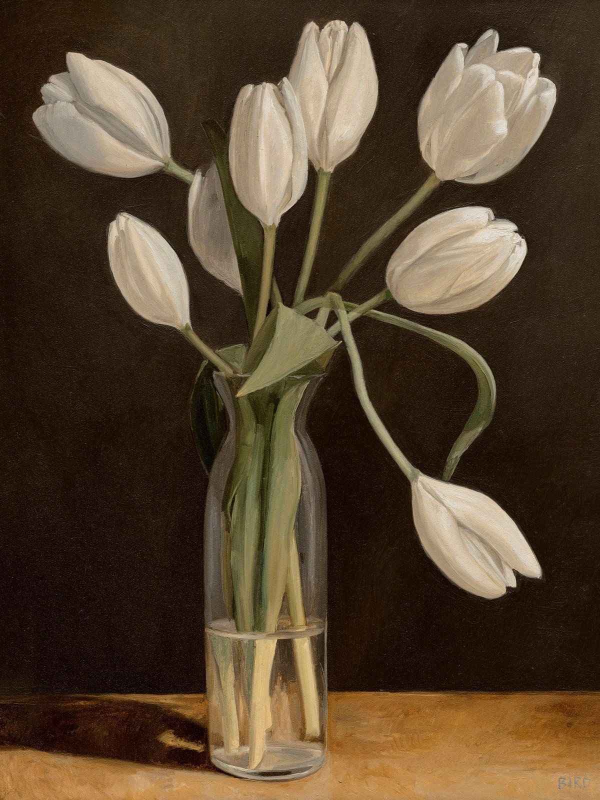 New Year Tulips II