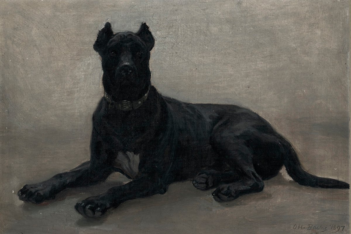 Great Dane
