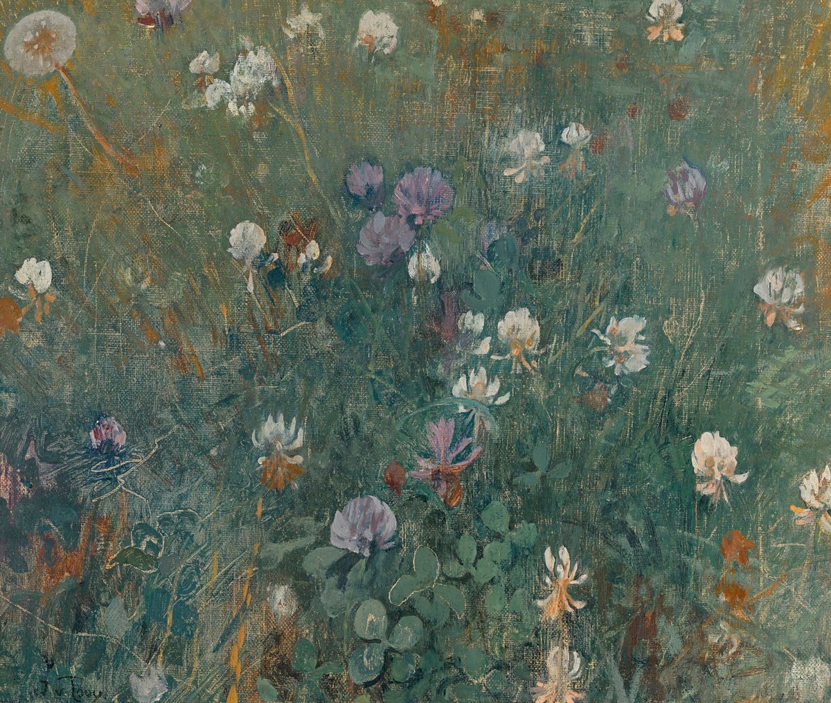 Clover Flowers
