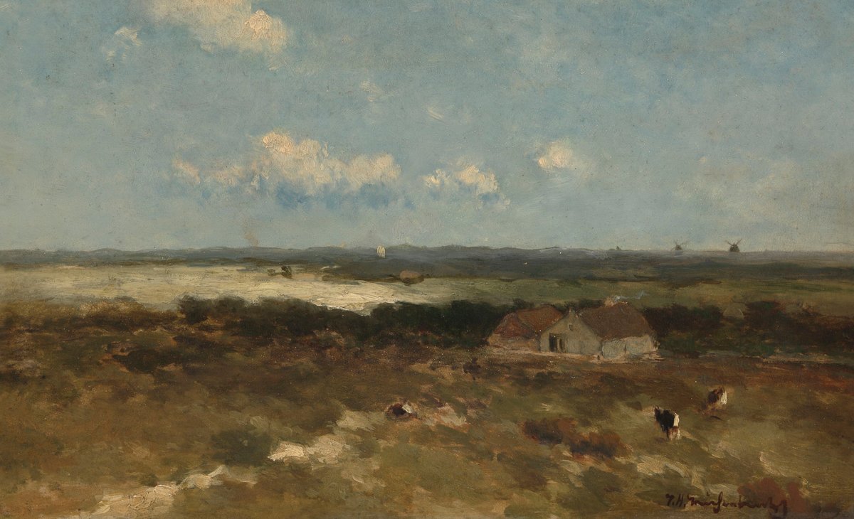 Dune Landscape
