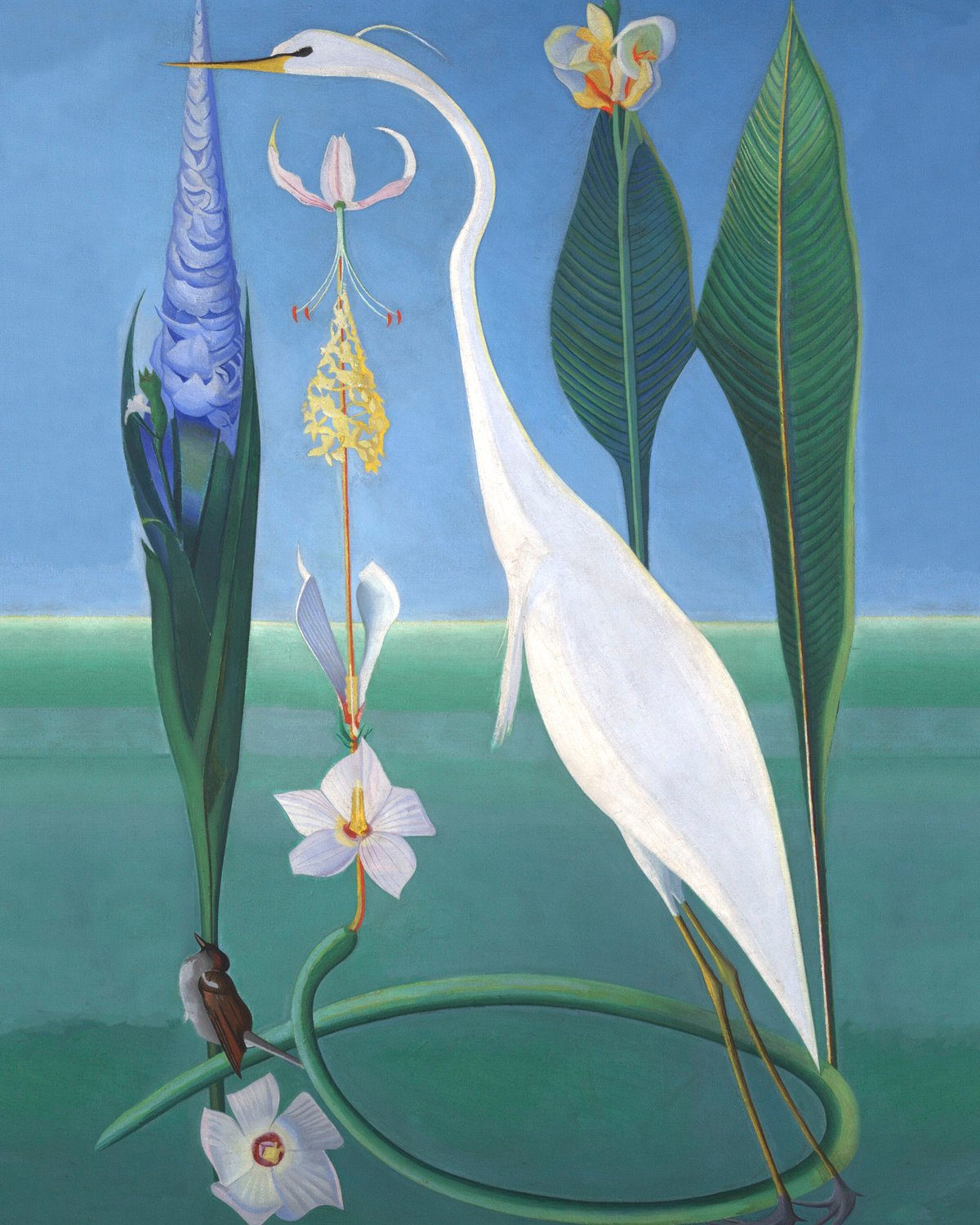 The White Heron